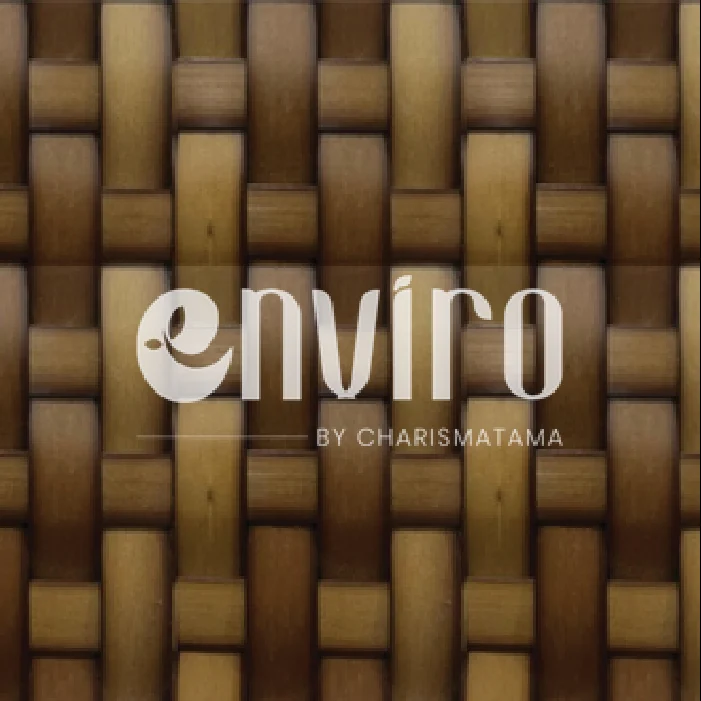 ENV 004