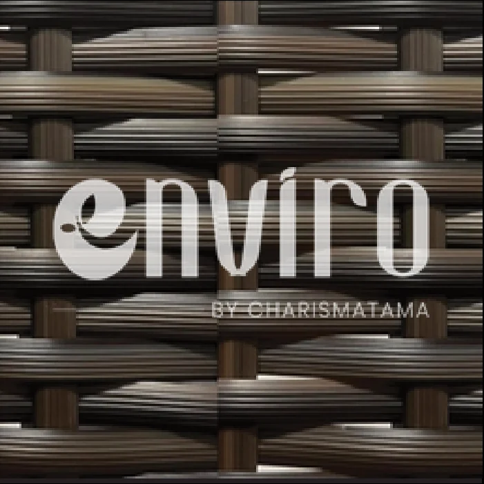 ENV 019